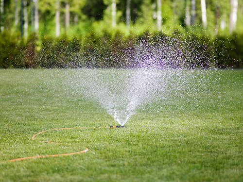 Metody na oszczędzanie wody w ogrodzie